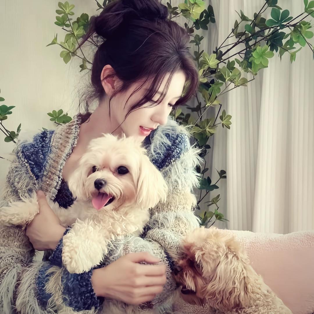 🪡🪡橘子海🔅