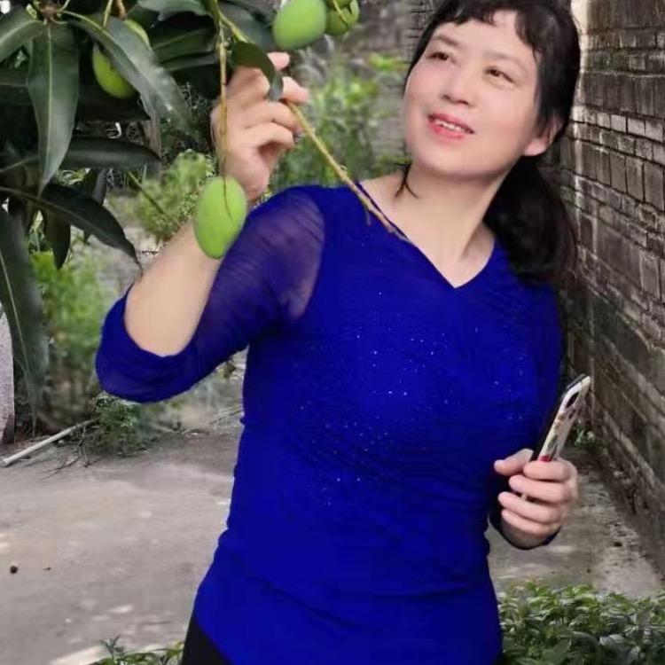 金夏荷