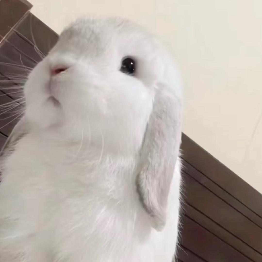 权谊