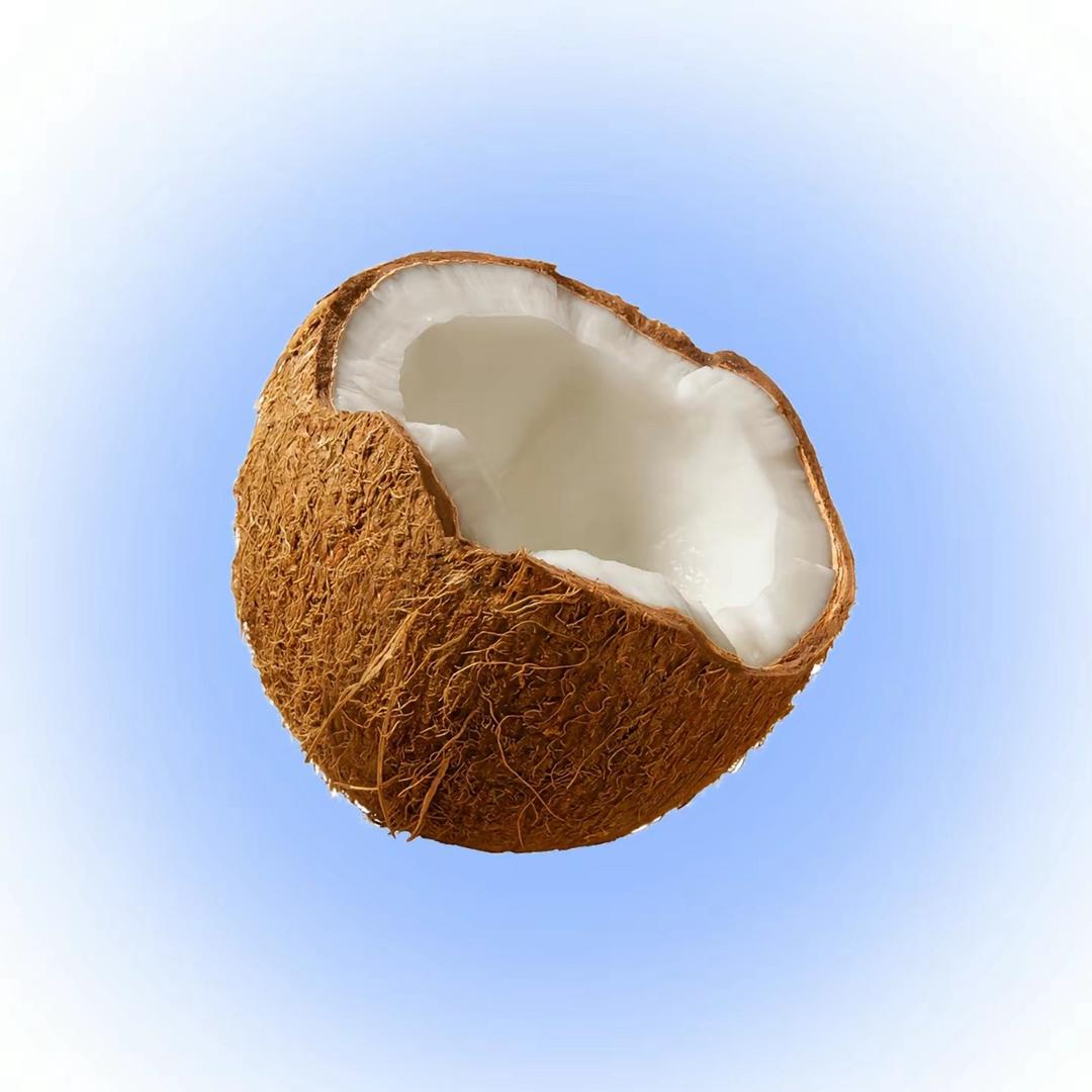 Coconut🥥