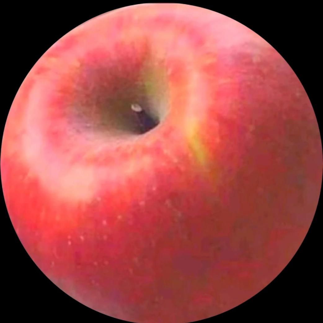 苹果玩具🍎