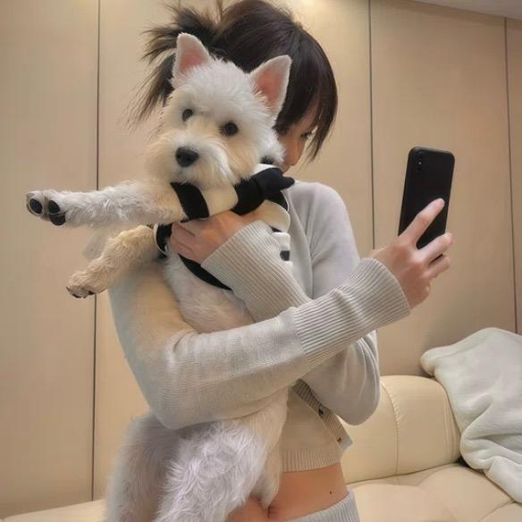妮妮子