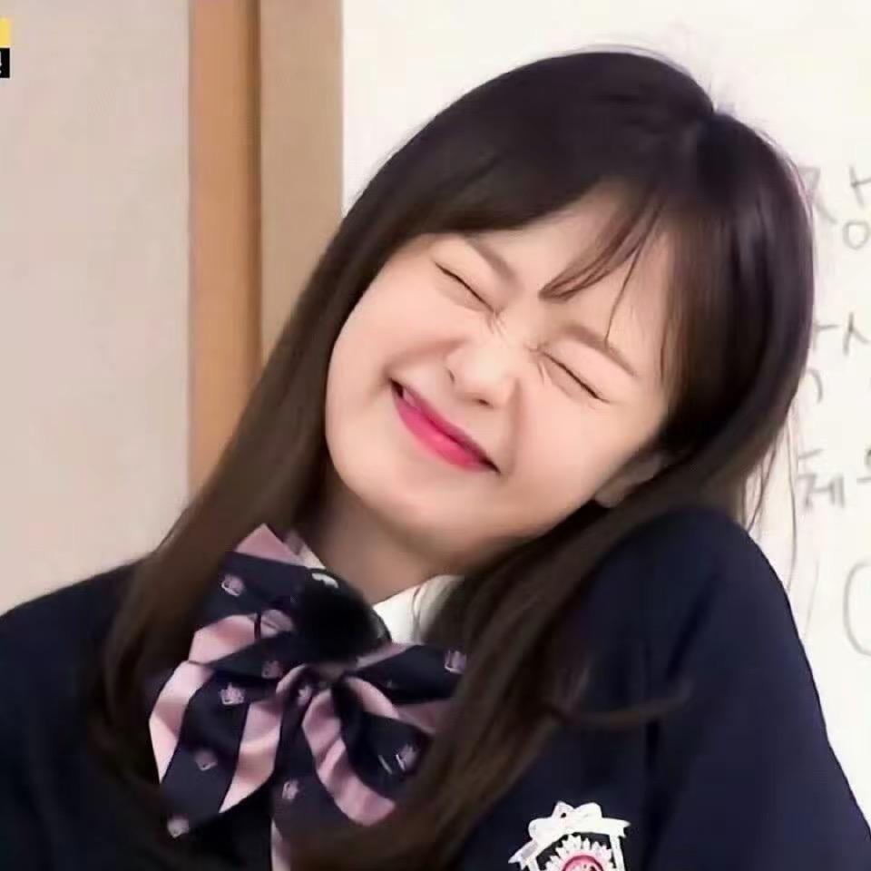 高冷呆呆狗૮・ᴥ・ა