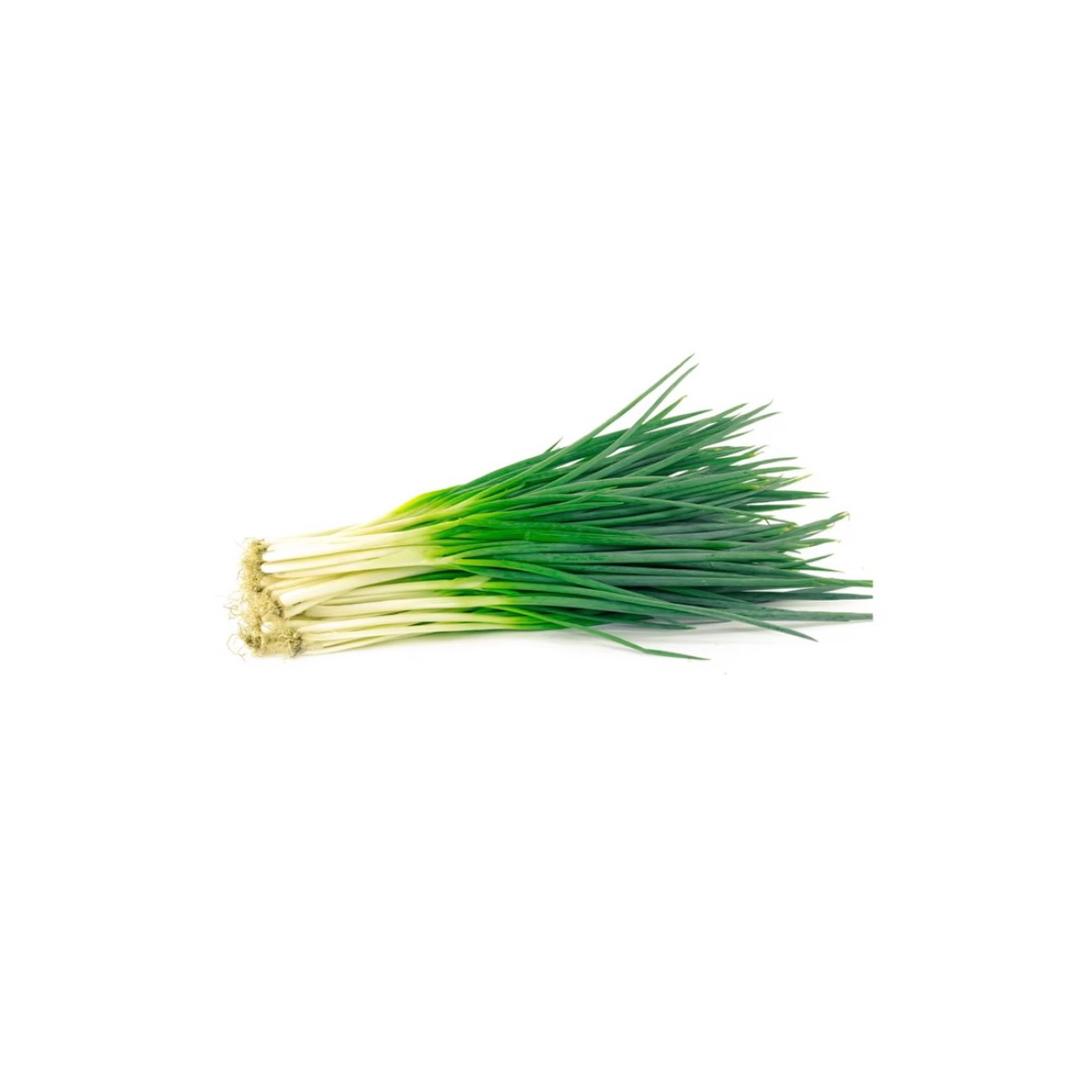 人生若只如初见