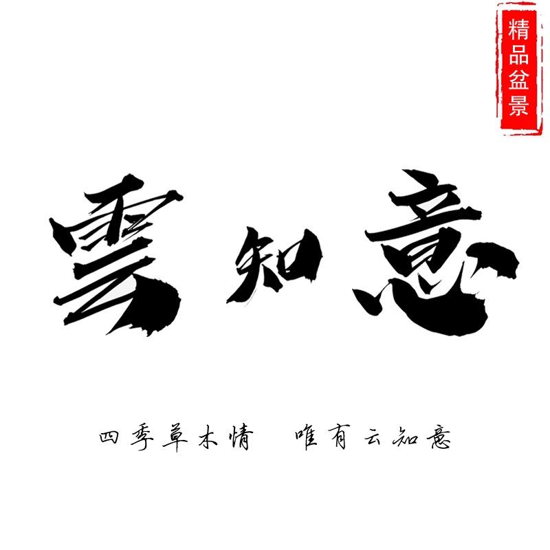 云知意精品微盆景