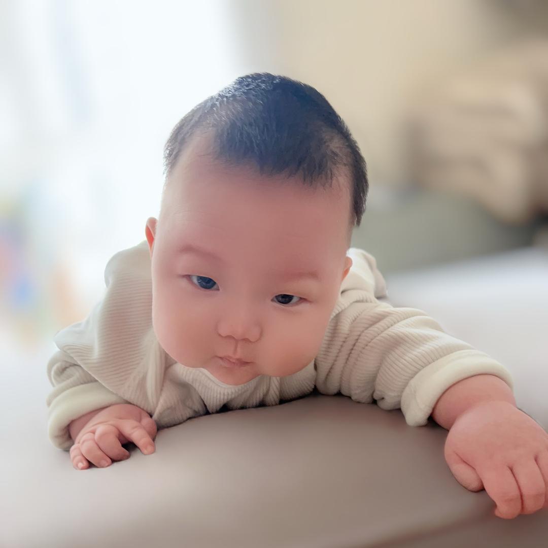 爱吃小熊饼干