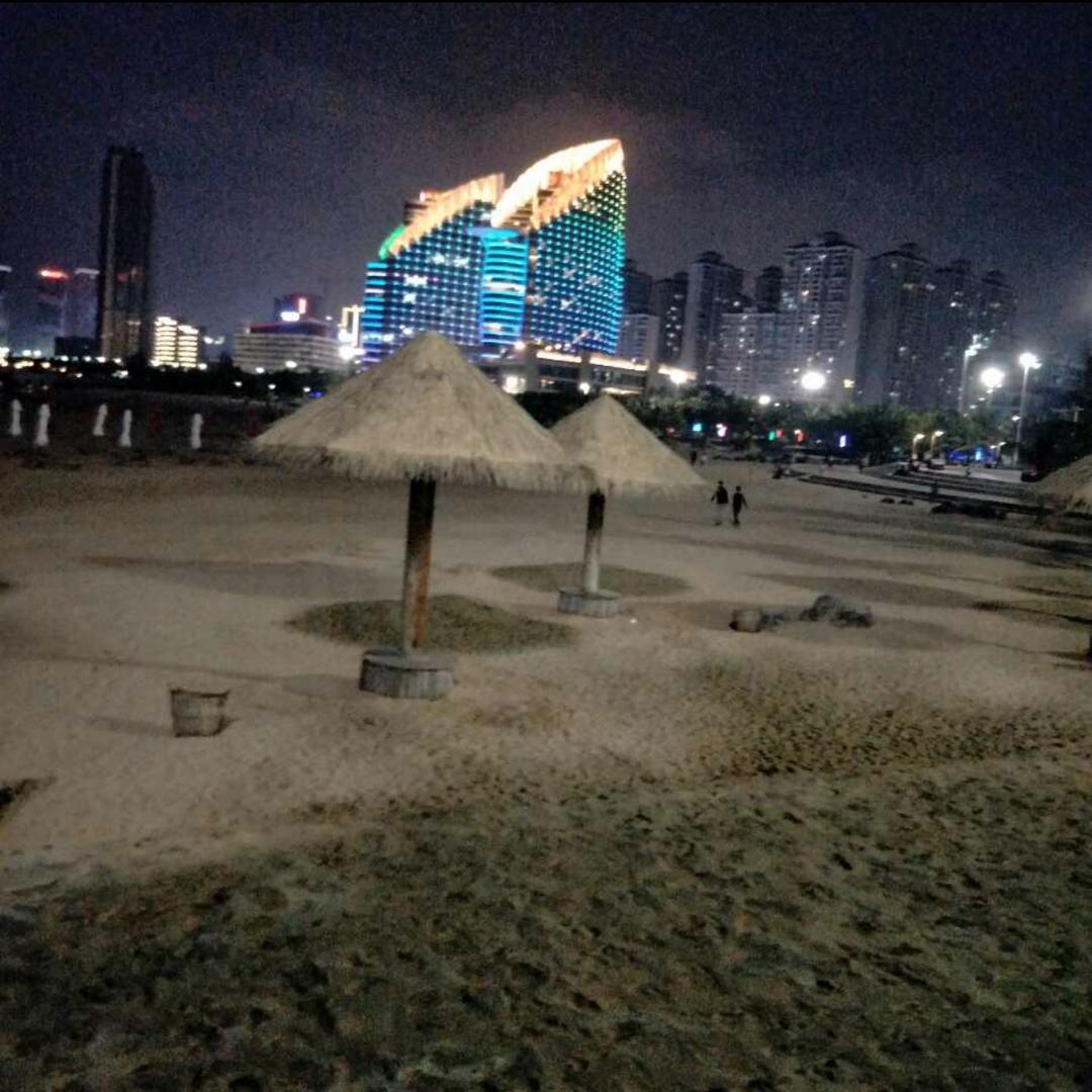 王大良