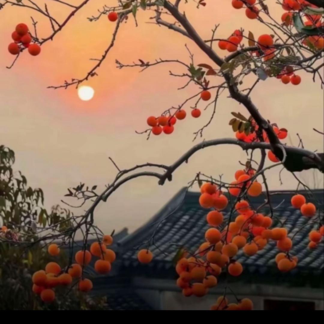 @钟💋意你