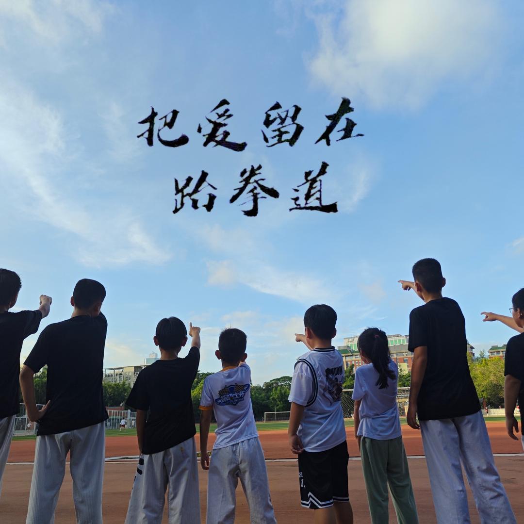 一个不懂跆拳道的胖子