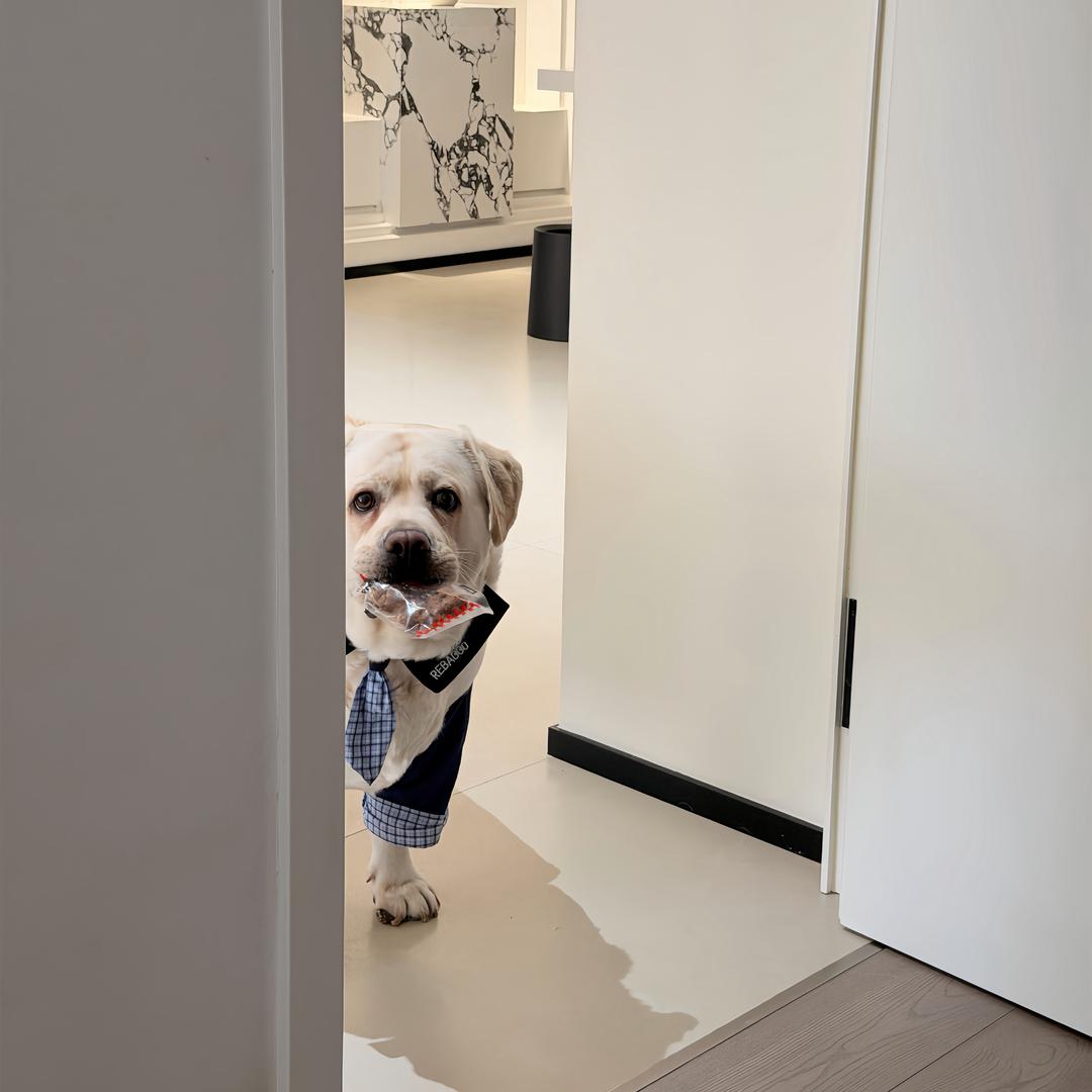 煤气罐小跳跳🐖