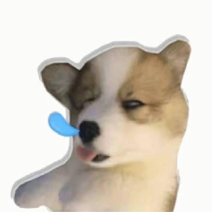 一天啥也不玩就会島