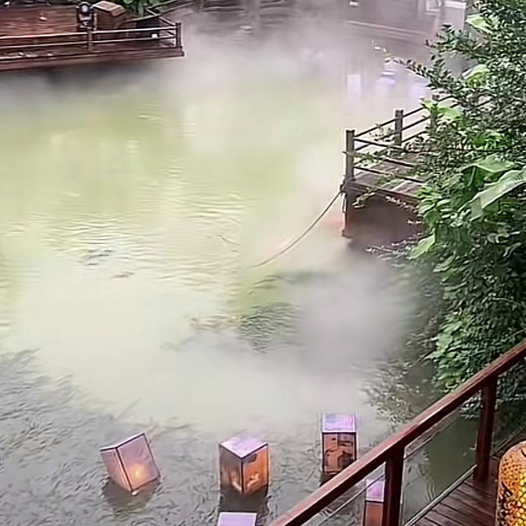 芸紫