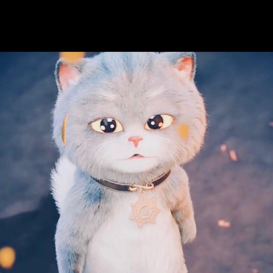 猪猪睡不醒