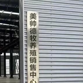 清苑区美帅畜牧养殖厂