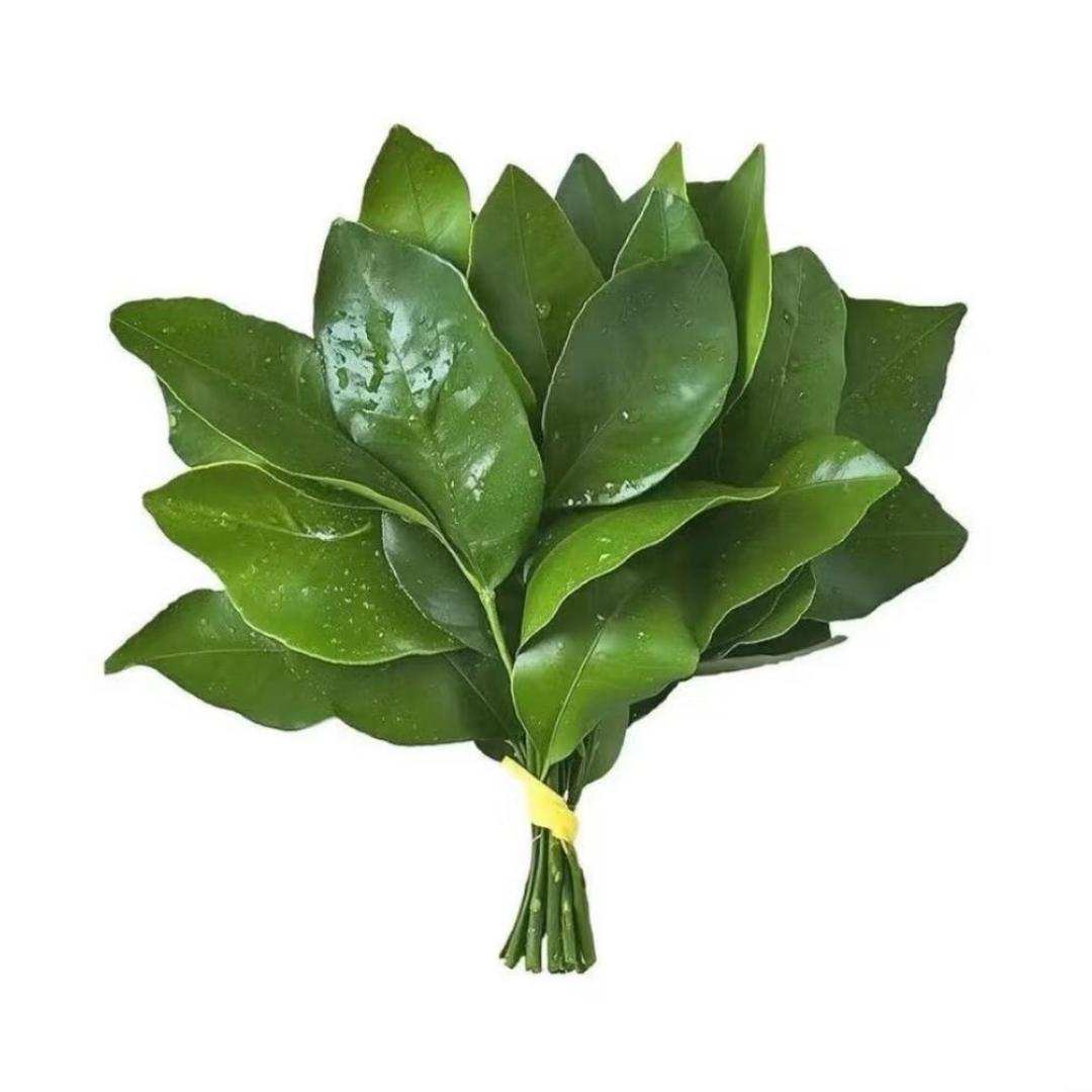 o没有饭心事