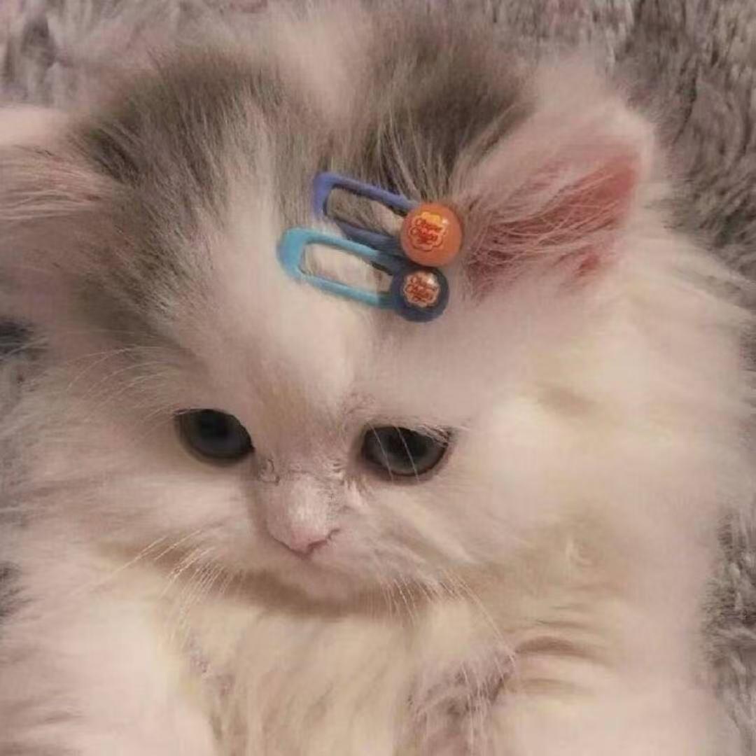 比奇堡最漂亮的派大星