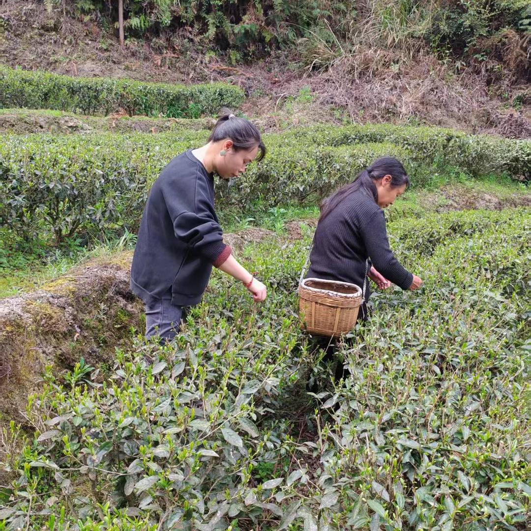 阿招乡村好山货
