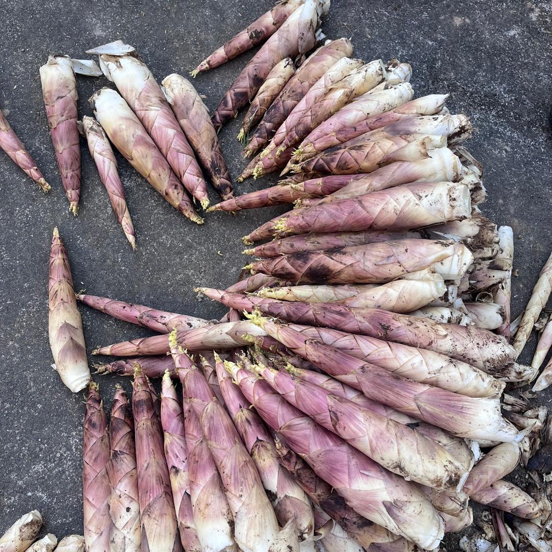 杭州天目小芳姐商店个体店