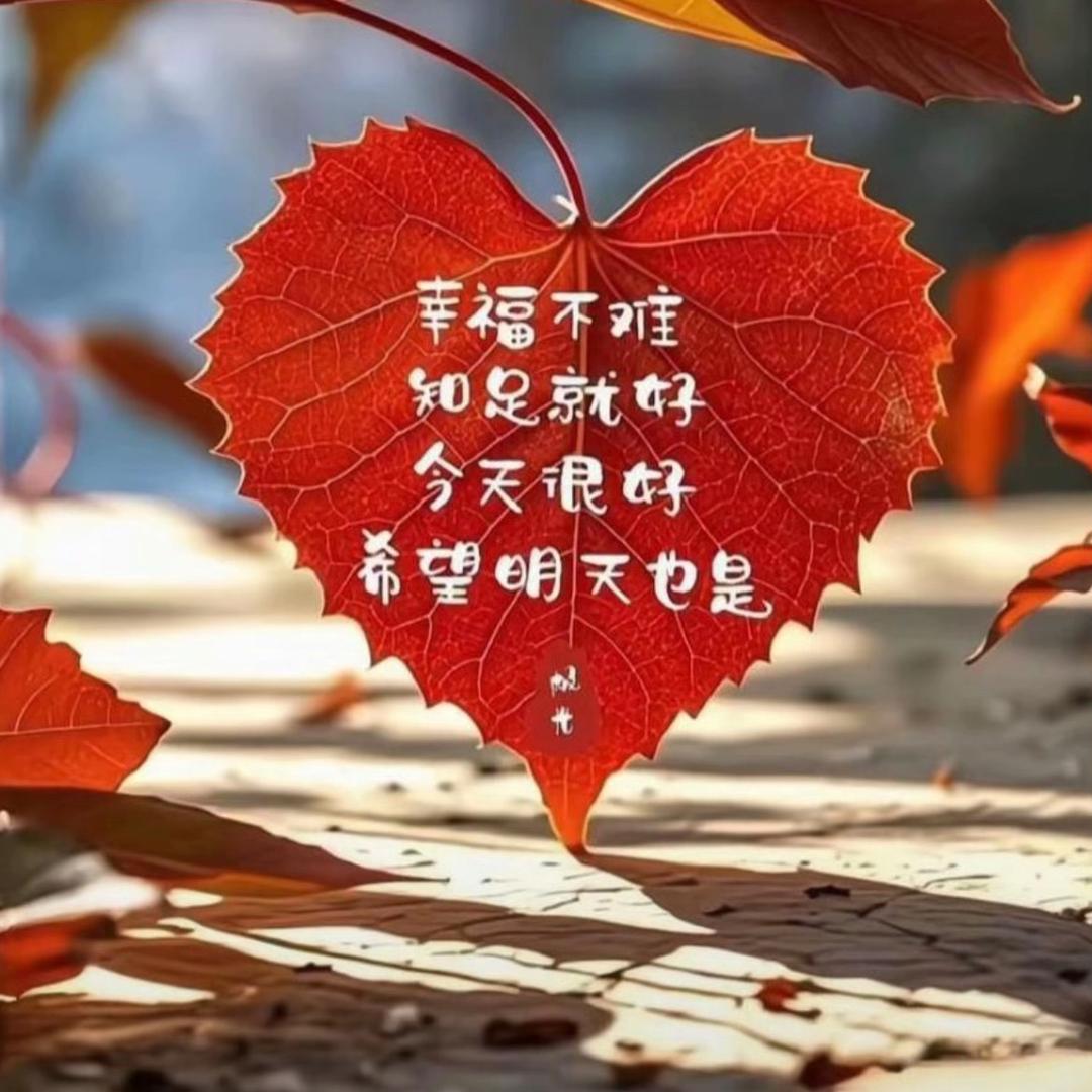 开心ヽ(○^㉨^)ﾉ♪