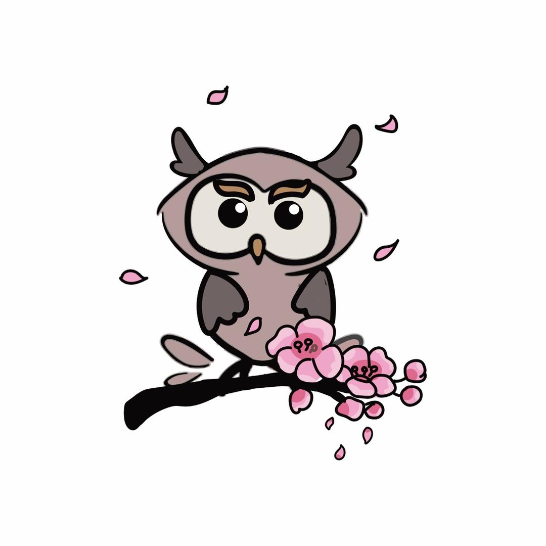 猫头鹰🦉