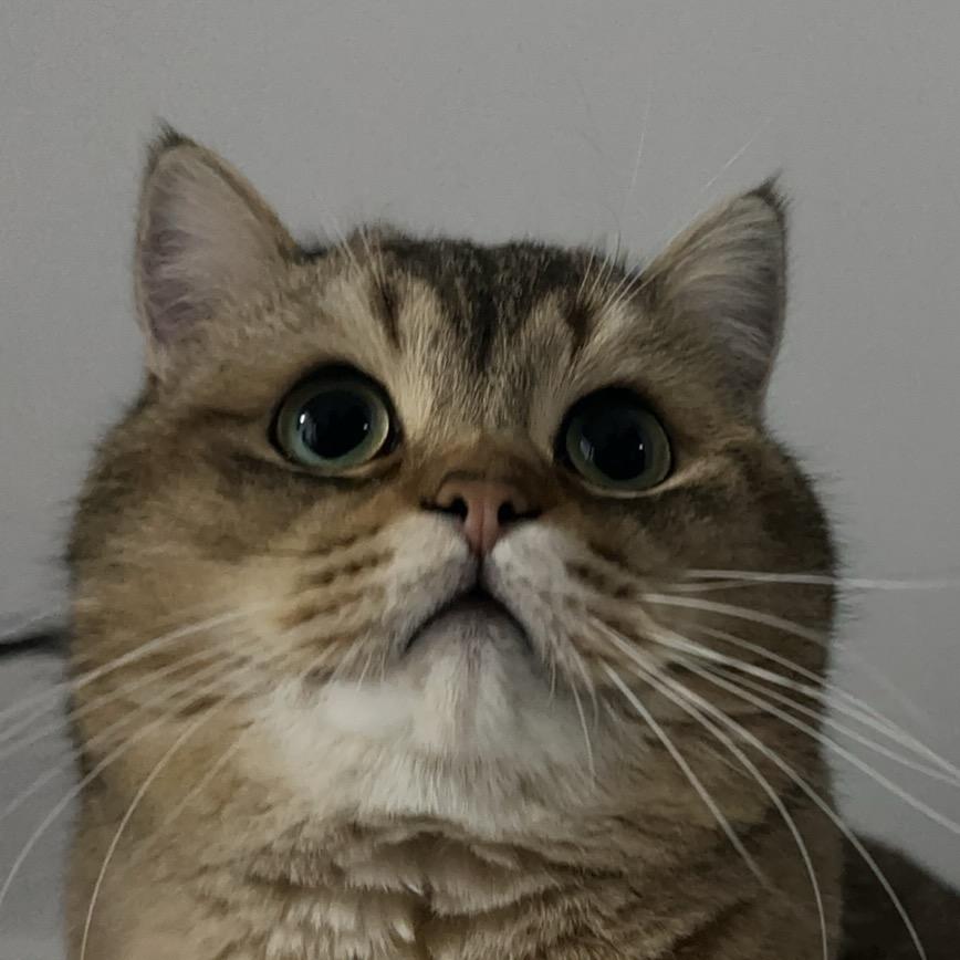 阿鸡