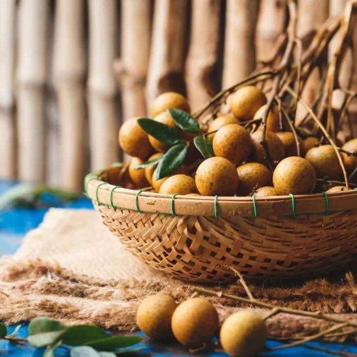 丰盛桂圆