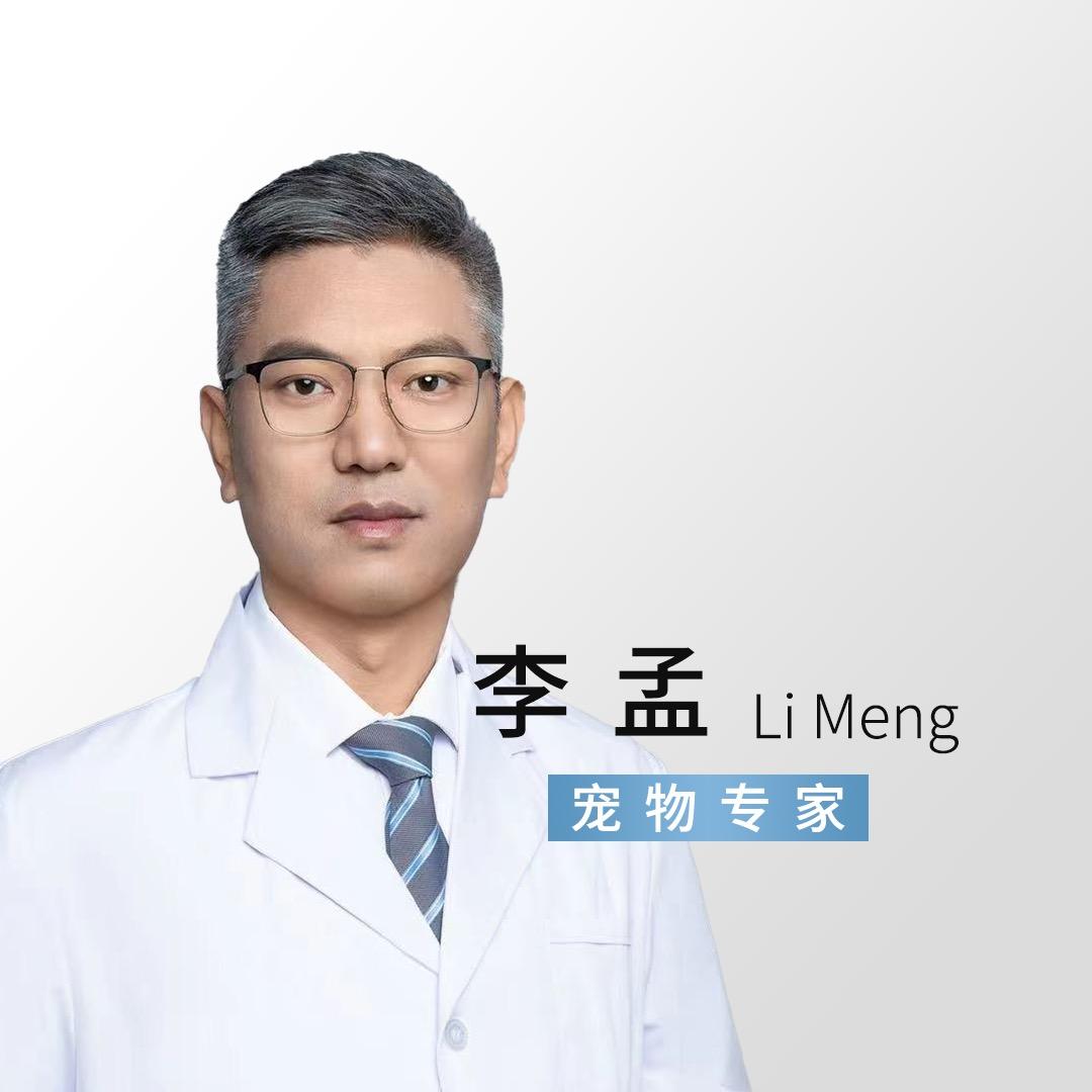 宠物健康指南
