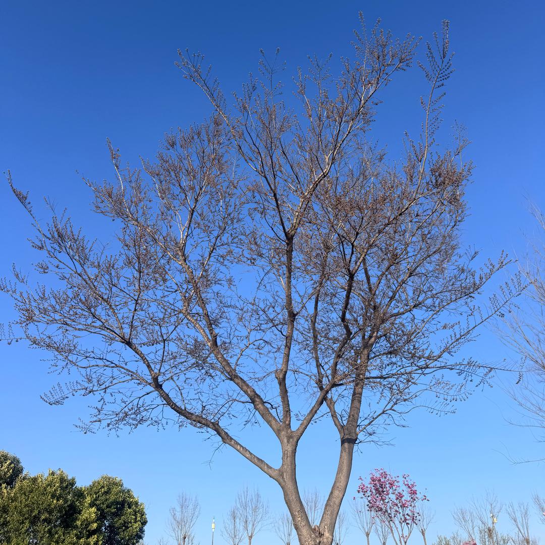 郸城仁慷