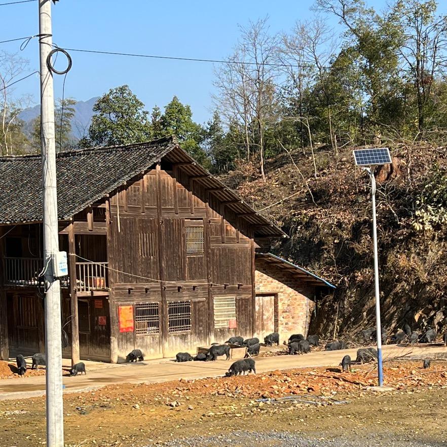 格润优选企业店