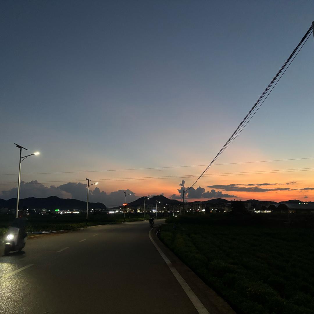 绿茶