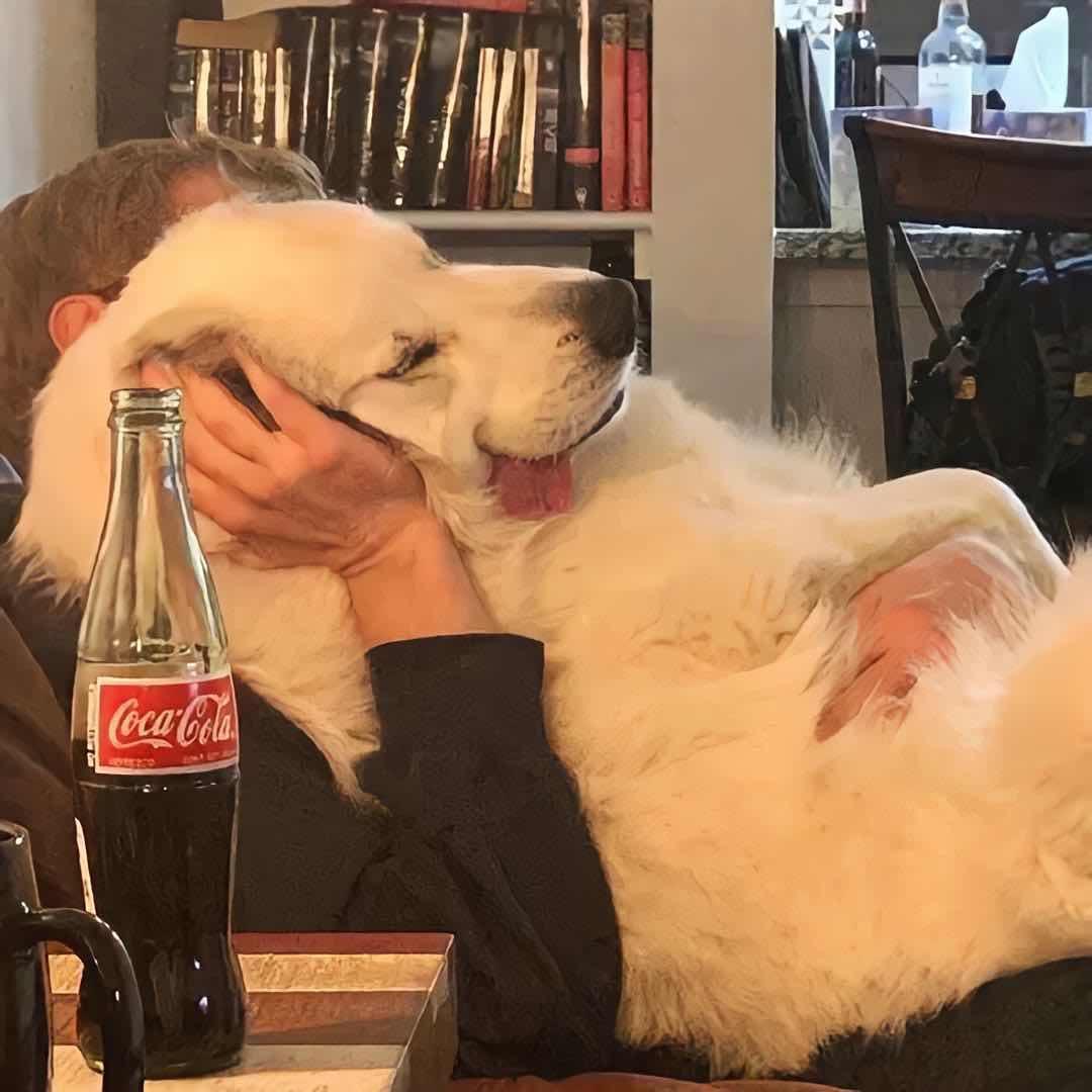 。。。