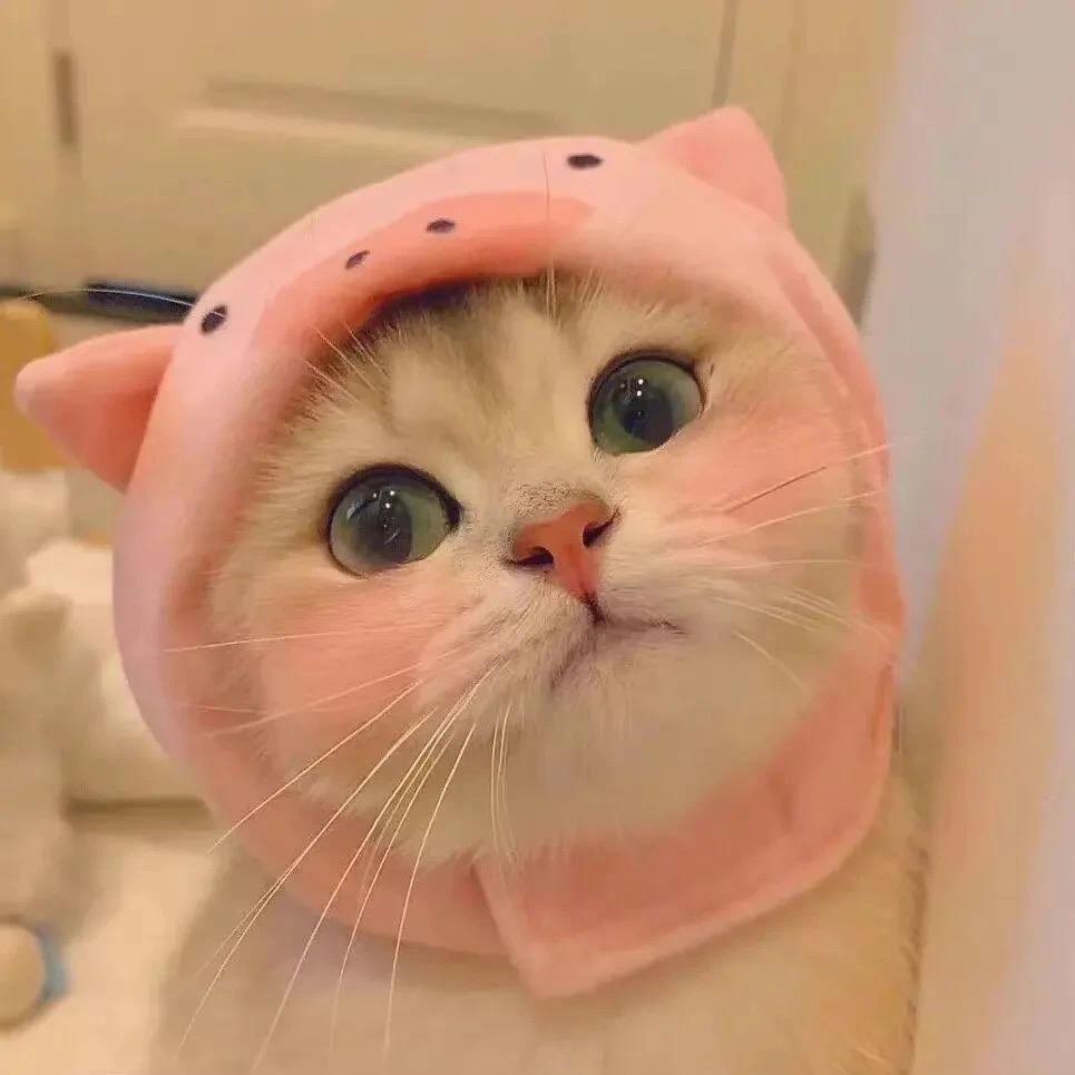 溪溪baby