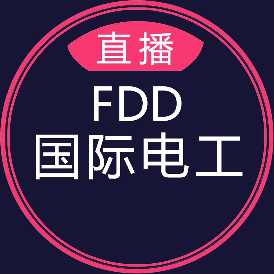 FDD 国际电工开关插座旗舰店