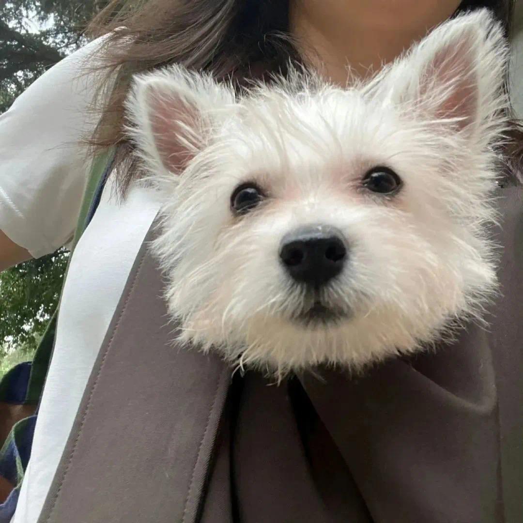 吃一碗昱泥