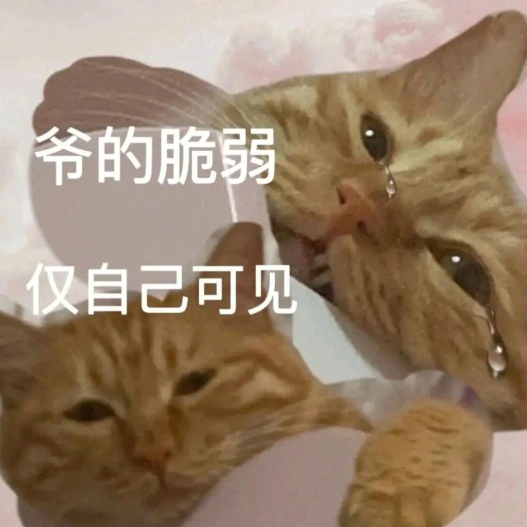 小鱼游走了