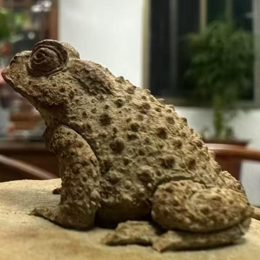 🌈 猛踹瘸子那条好腿