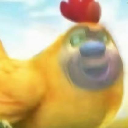 pp