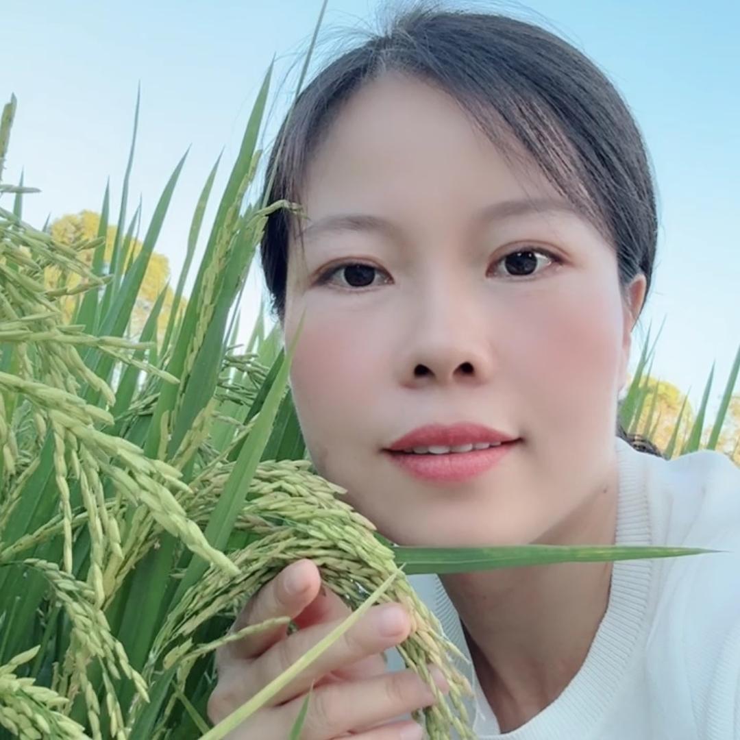 闽蓝妙招