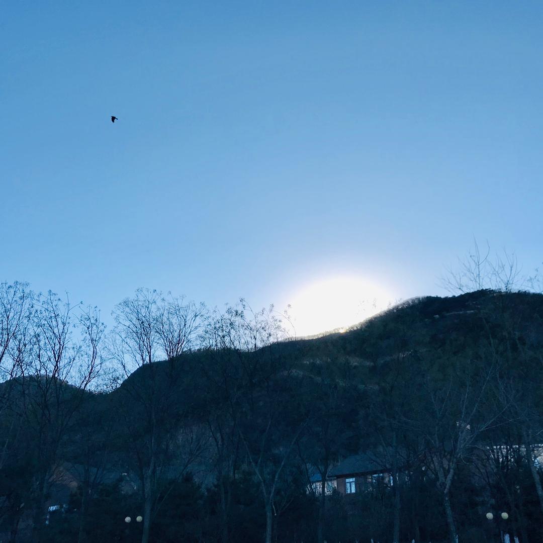 明亮的眼睛