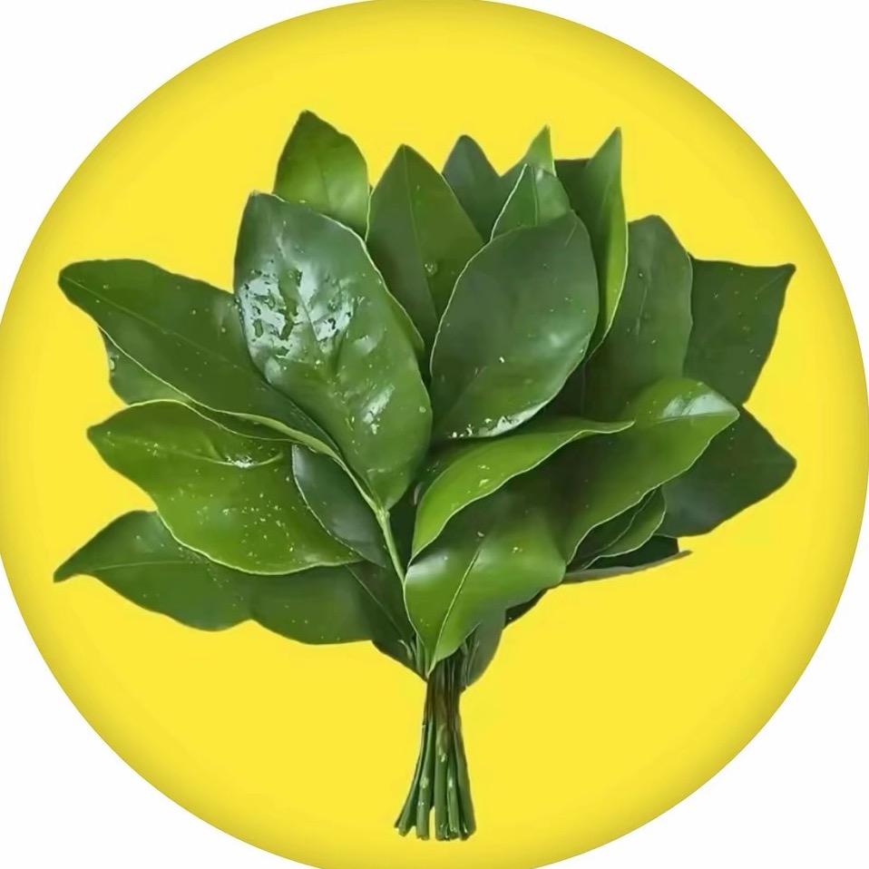 下雪啦！！！！！