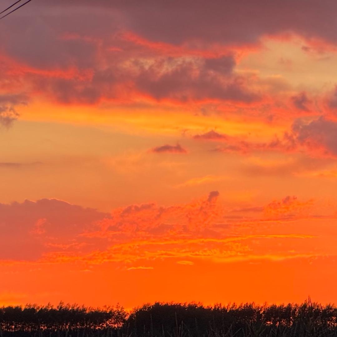 用户 2242104877325