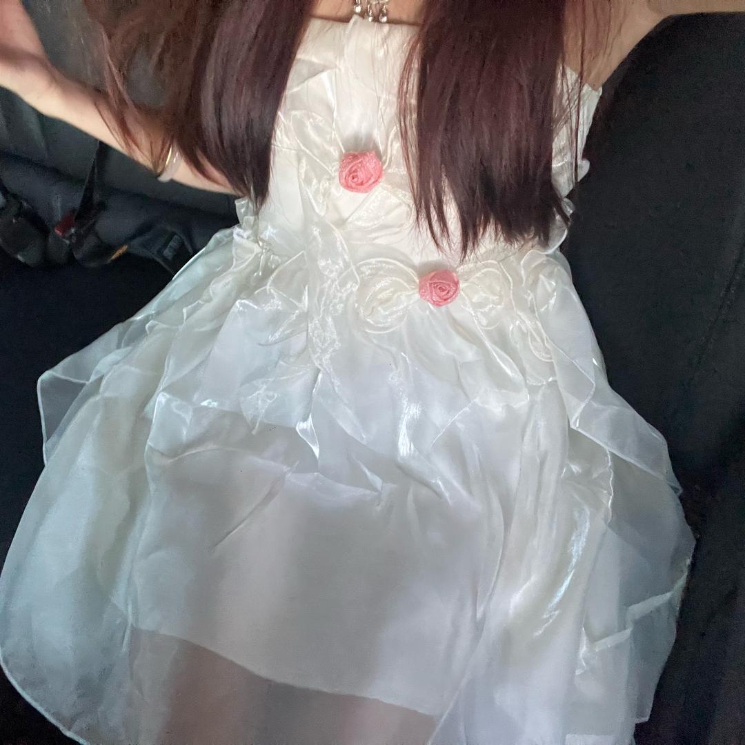 小小辉太狼