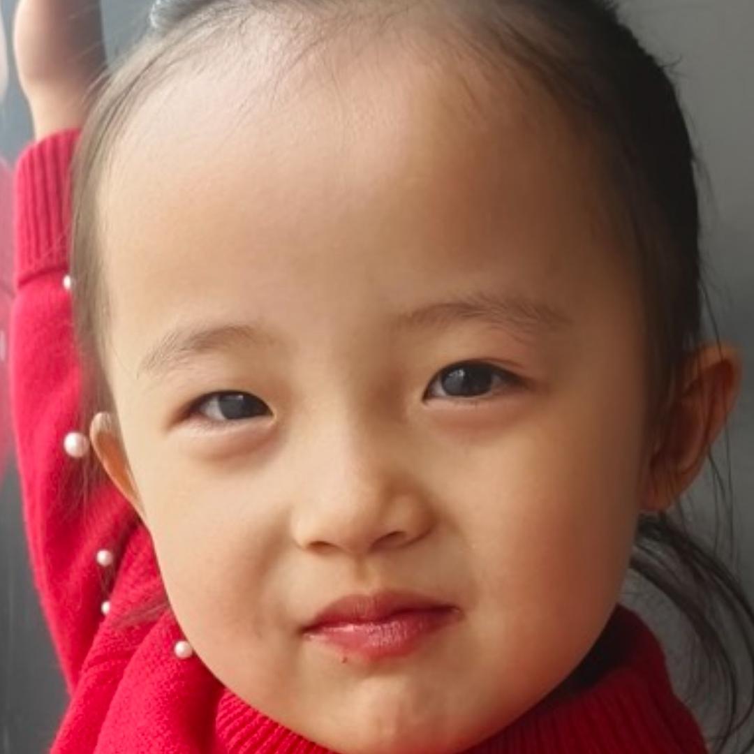 枯叶蝶