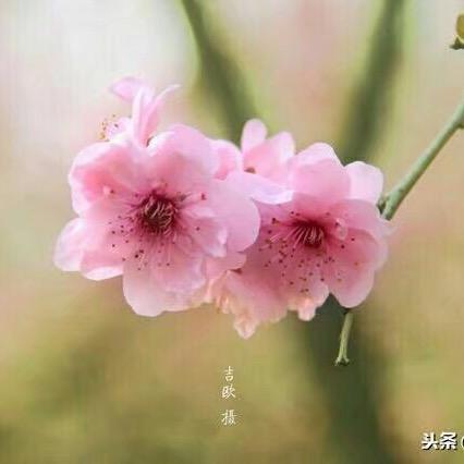 一米阳光
