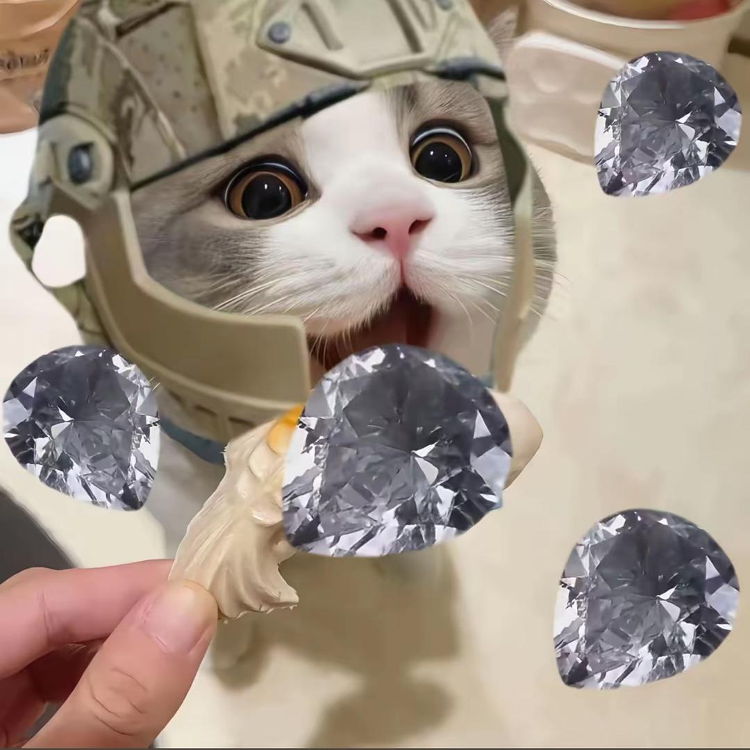 秋枫（三角洲行动）