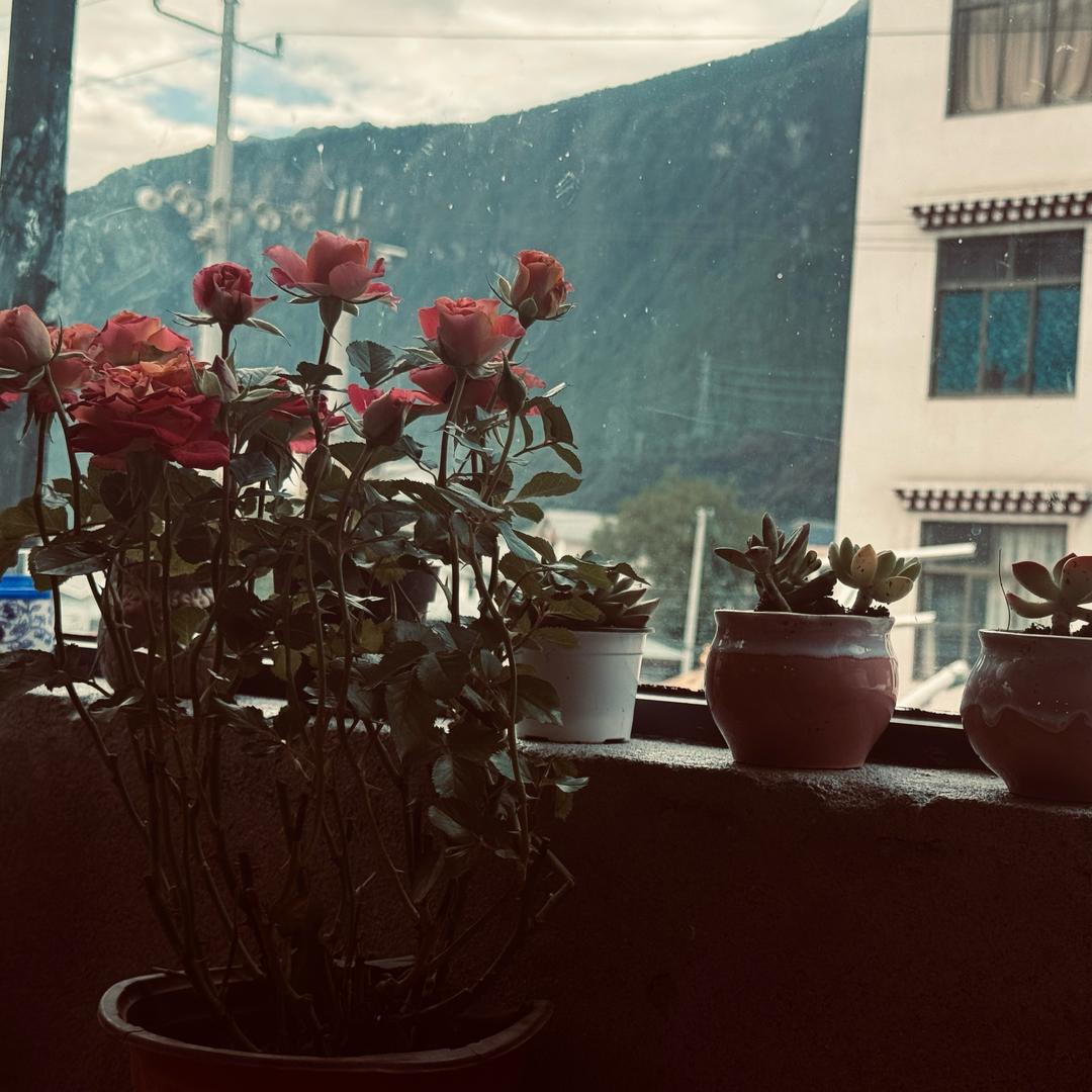 ࿐ཡང་རྩེ།
