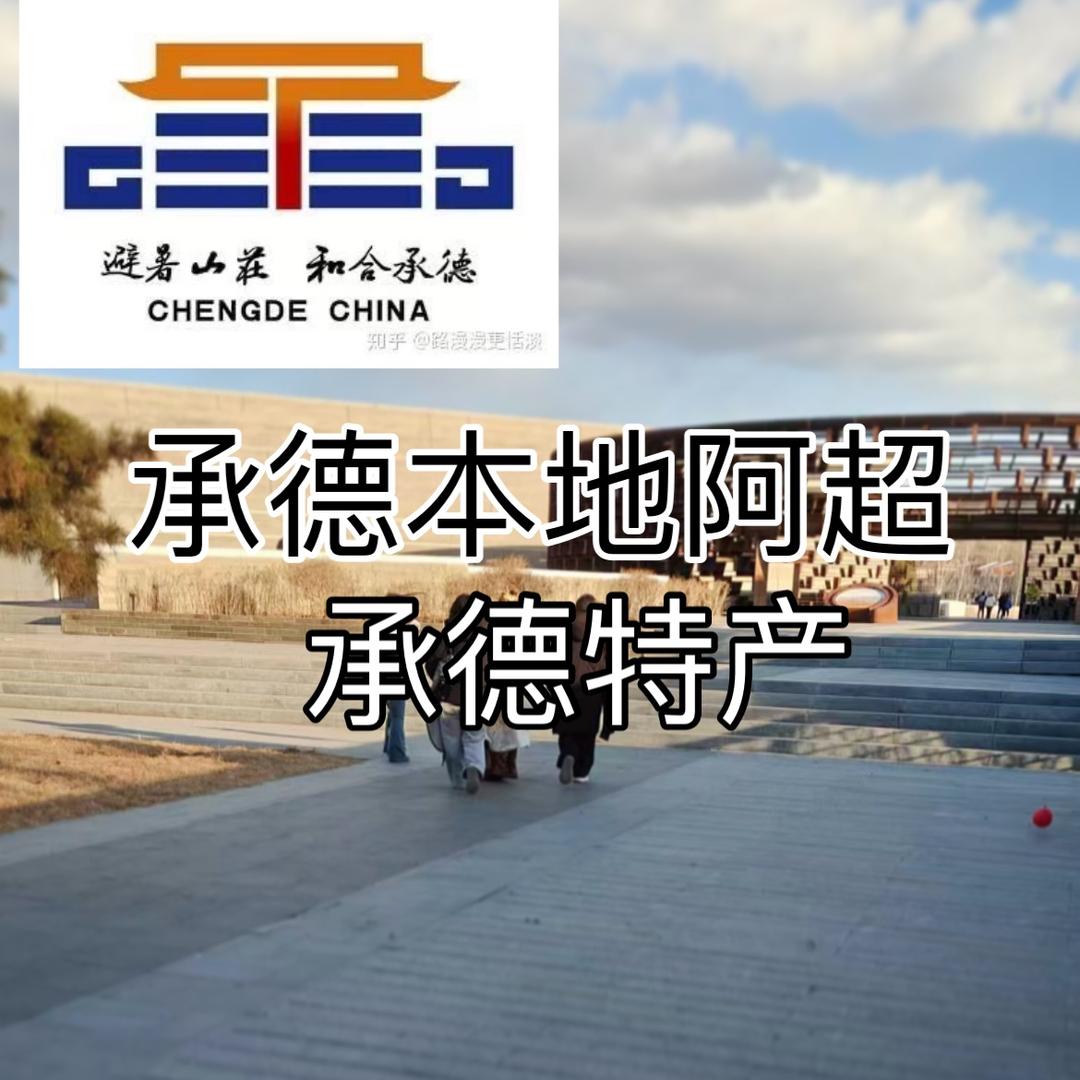 承德阿超山货🌰榛子 果干木耳～山大王