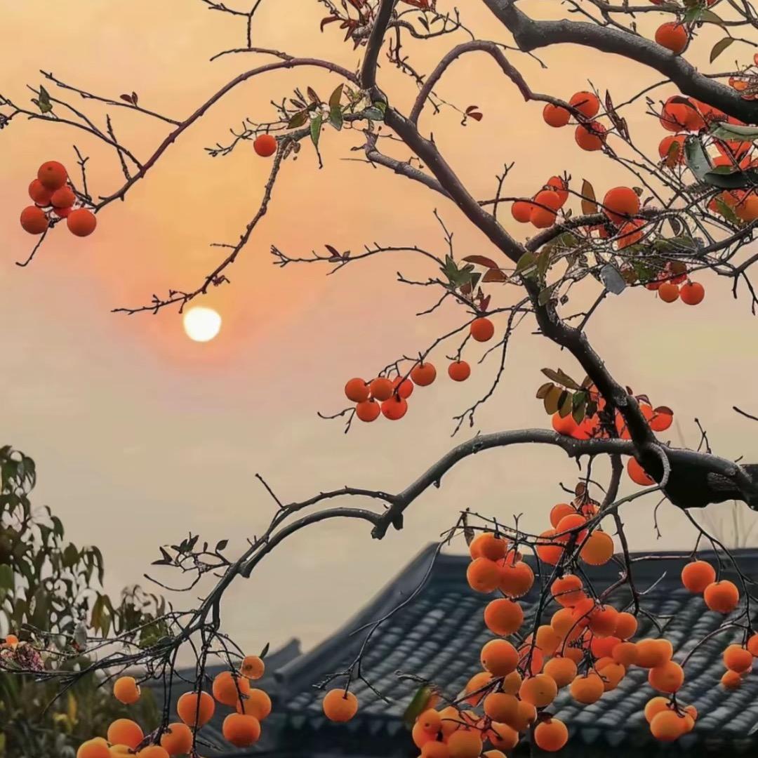 南极以南。