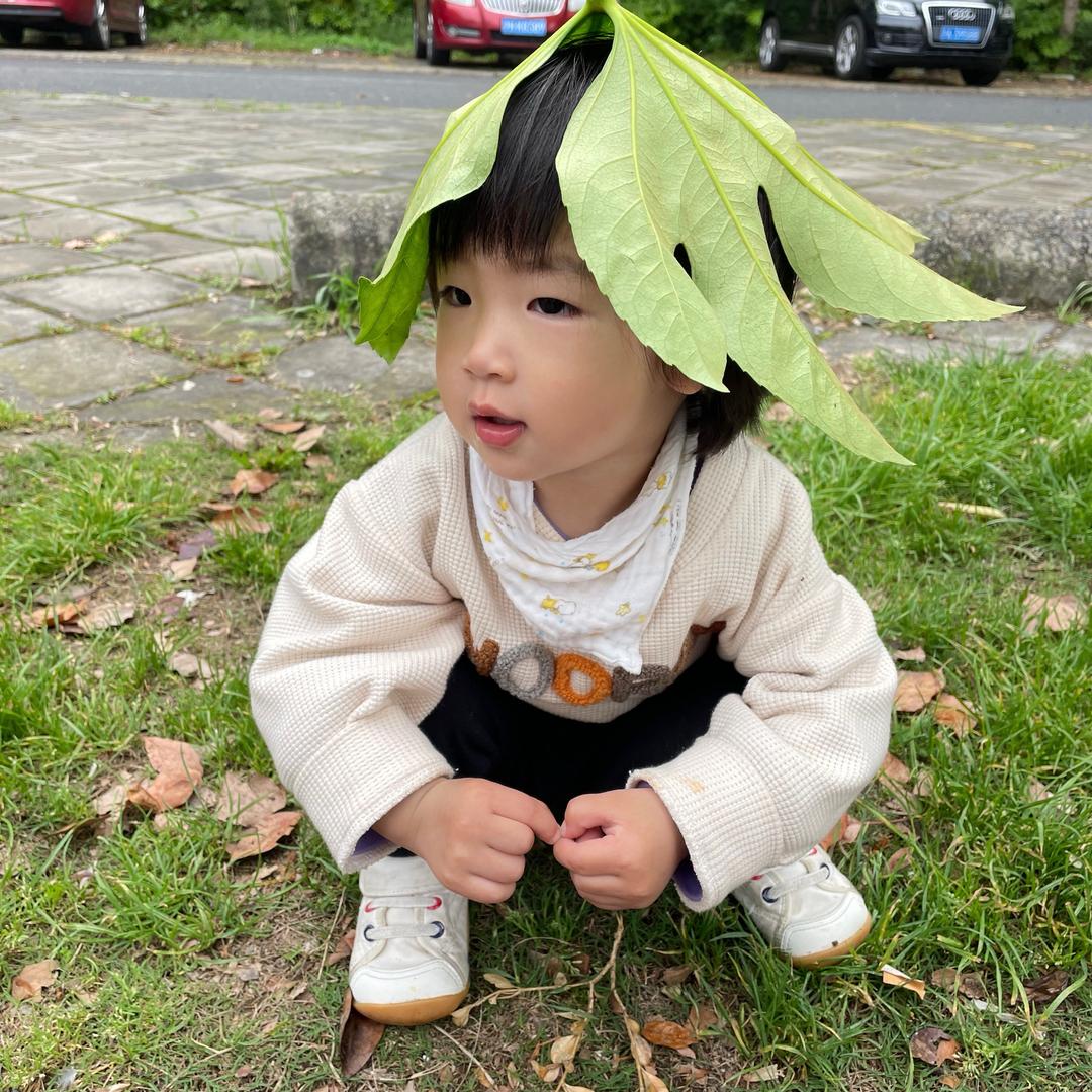 风和日丽666（拒私聊）