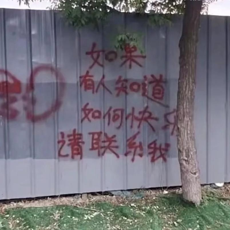 往知遇安